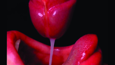 chupando pija hasta que pido me la pongan por favor