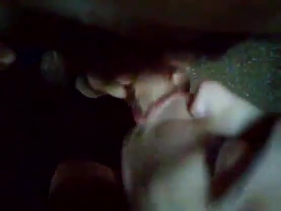 me chupo una pija desaforada