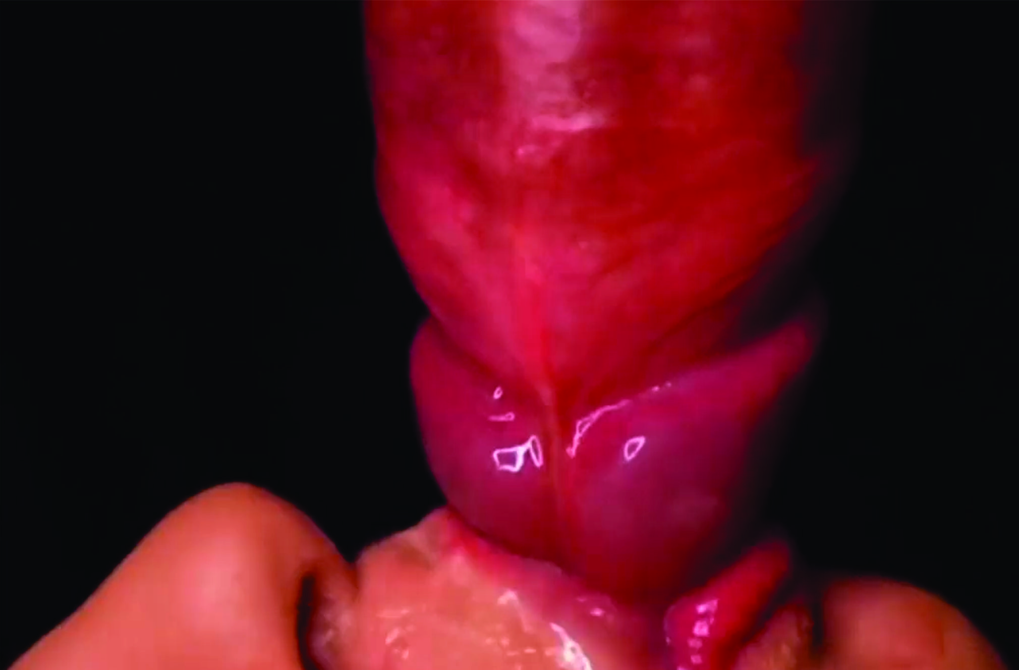 video casero doble penetracion novio y juguete