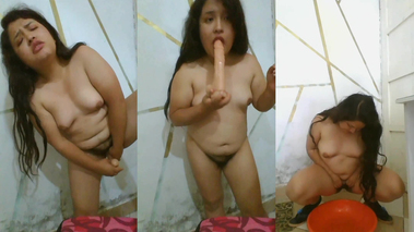 Jugete sexual en el coño