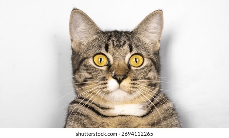 hhhhh