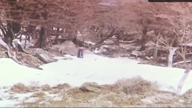 Porno arqueología -erotismo argento vintage-Isabel Sarli 03